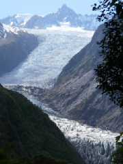 Foxglacier.jpg