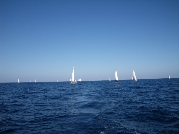Imgp0795.jpg